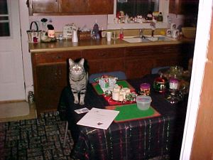 (C) Scott L. Vannatter