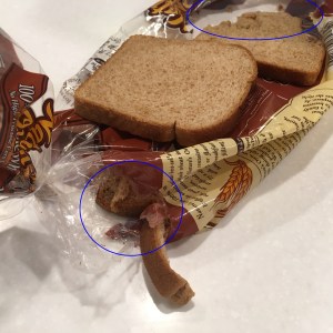 Evidence 2: Only remaining intact piece of bread. Second, smaller hole chewed in bag.